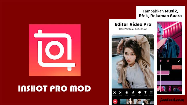 Download InShot Pro Mod Apk Full Efek No Watermark Terbaru 2020