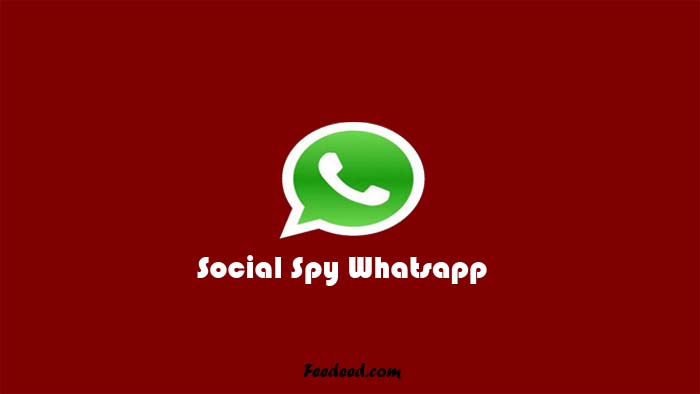 Social Spy Whatsapp, Tool Sadap WA Online Terbaru 2021